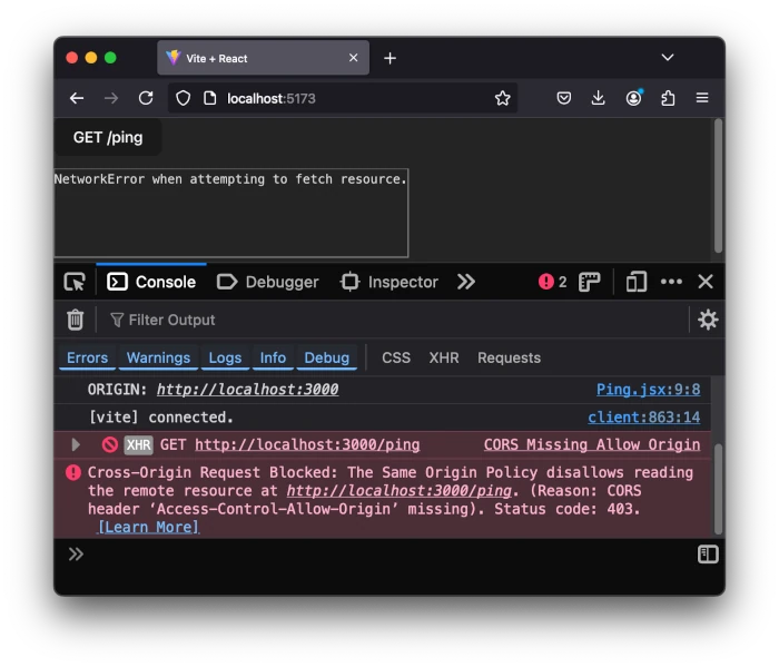 The frontend server is at port 5173, the backend at port 3000: a CORS issue