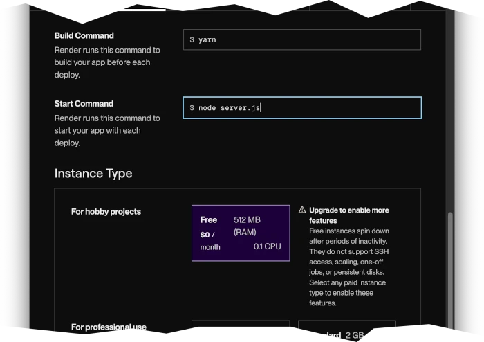 Choosing the Build and Start commands;